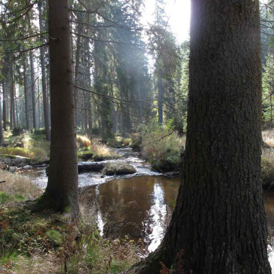 kamprunde5.jpg