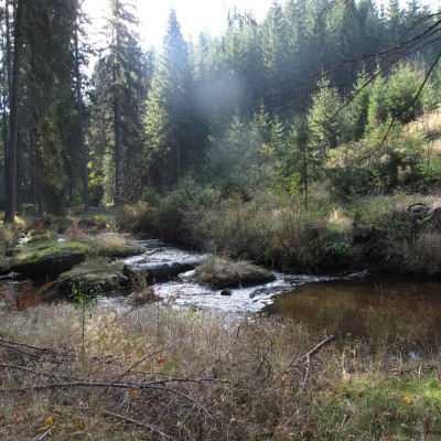 kamprunde6.jpg