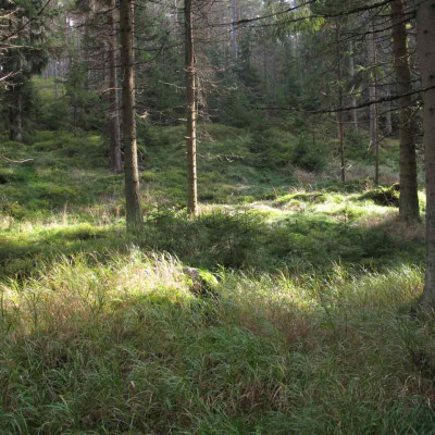 kamprundeweg1.jpg