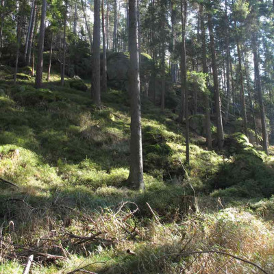 kamprundesteine5.jpg