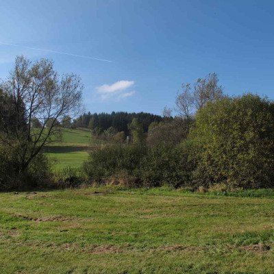 kamprundewiese.jpg