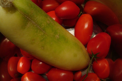 last-cucumber_tomatos_20111019.jpg