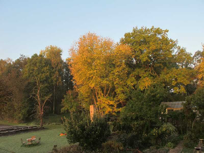 Oktobermorgen_11_ue.jpg