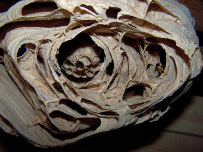 100_4121.JPG