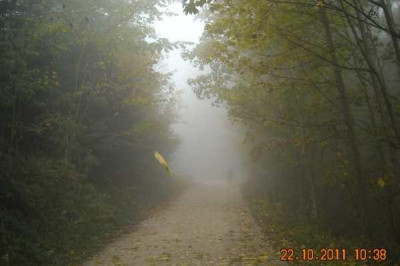 DSCN0552.jpg