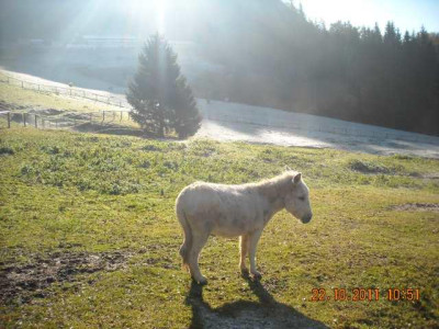 DSCN0568.jpg
