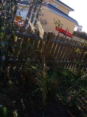 P1010790_Medium.JPG