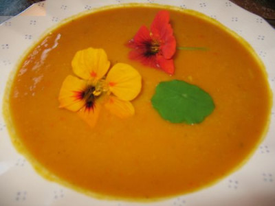 IMG_4308_Kurbssuppe_Albizia.jpg