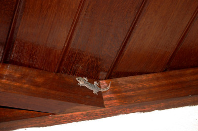 Casa_Azul2408a.jpg