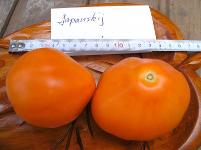 K800_BILD3165.JPG
