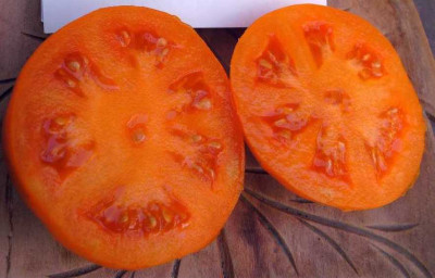 K800_Kopie_von_Japanskih_Truffel_Orange__7.24__6__gescjn._gro.JPG