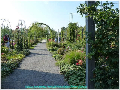 0Sangerhausen02_Jubilaeumsgarten.jpg