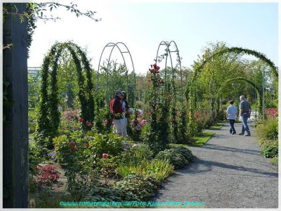 0Sangerhausen03_Jubilaeumsgarten.jpg
