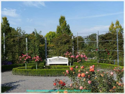 0Sangerhausen04.jpg