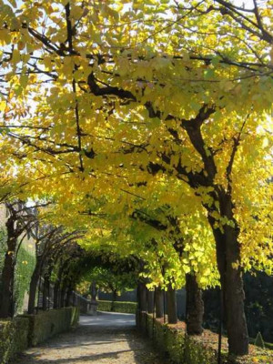 111024_11a.jpg