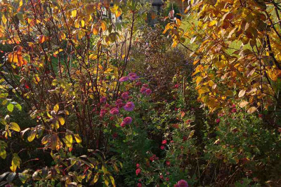 goldener-oktober_2011_zg.jpg
