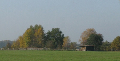 Weideschuppen_1_Gartenpur.jpg