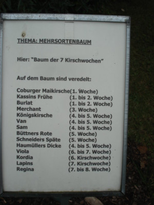 DSC00560.JPG