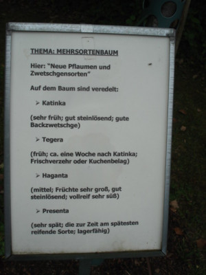 DSC00561.JPG