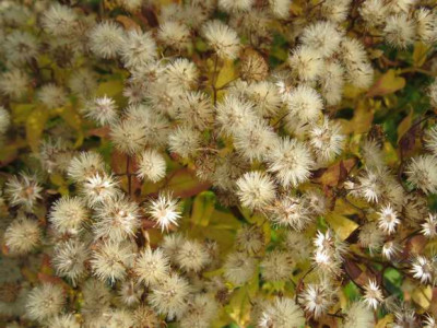111029_076a.jpg