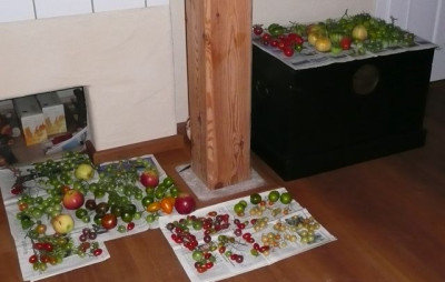 ernte_111030.jpg