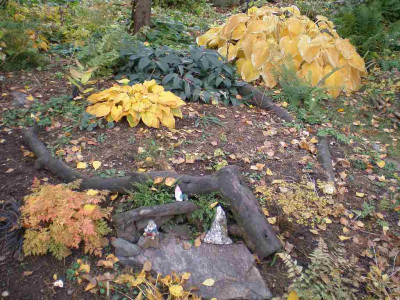 GP_Hosta_Herbstfarbung1.jpg