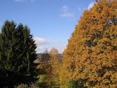 Wetter_31.10.11.jpg