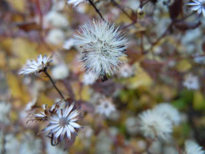 31.10.11_026.JPG