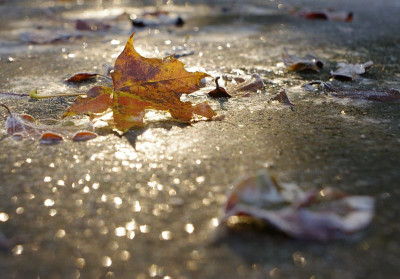 IMGP1568web.jpg