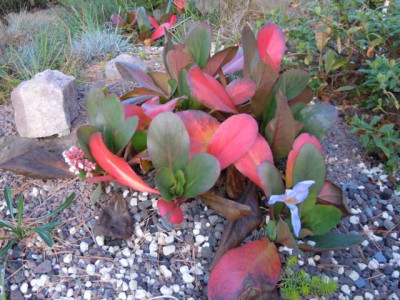 31.10.11_012.JPG