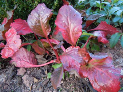 31.10.11_025.JPG