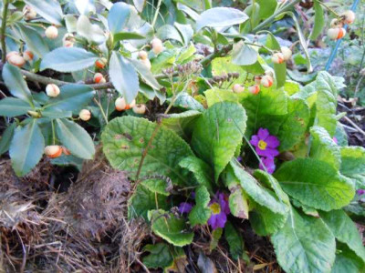 31.10.11_007.JPG