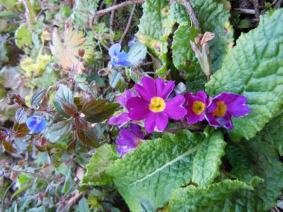 31.10.11_032.JPG