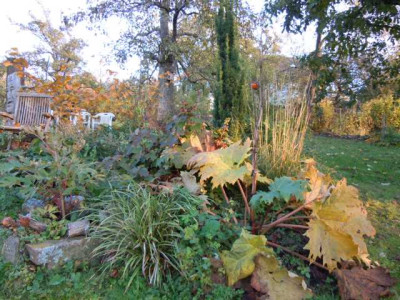 31.10.11_003.JPG