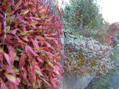 31.10.11_009.JPG