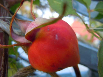31.10.11_016.JPG