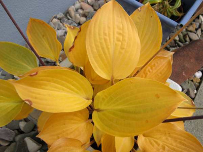 111029_090a.jpg