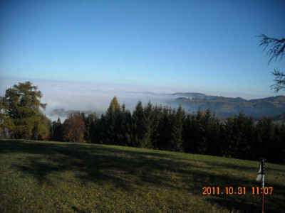 DSCN0981.jpg