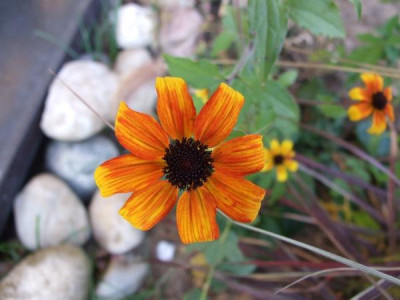 DSCF4767.jpg