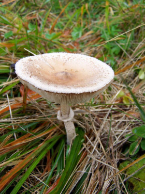 100_4252.JPG