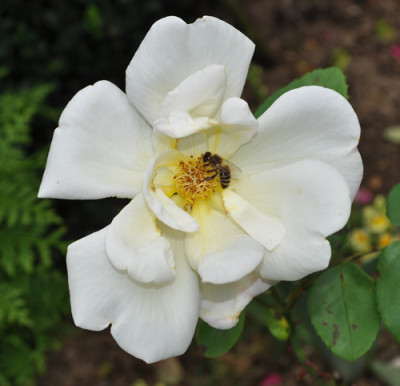 Drei_Gleichen_0011__10309.jpg