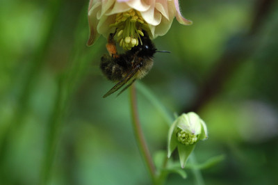 erntearbeit_11639.jpg