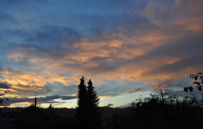 Morgenstimmung_0011__2302.jpg