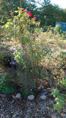 Cascade_0011__89000.jpg