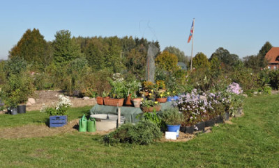 Stilleben_0011__1807.jpg
