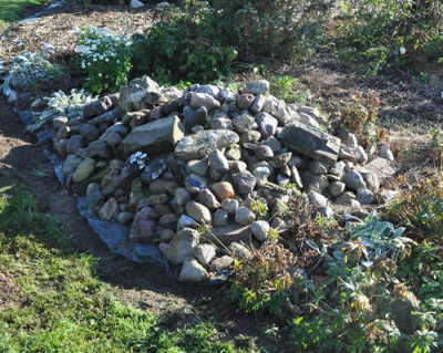Refugium_0011__1812.jpg