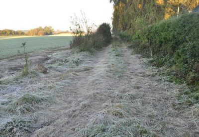 Frost_0011__11791.jpg