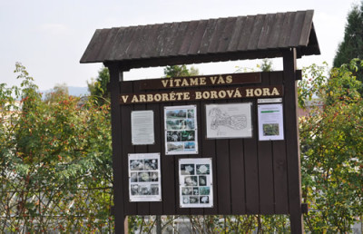 Arboretum_TR_0011__1166.jpg