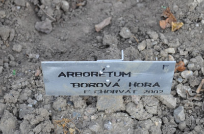 Schild_0011__1152.jpg