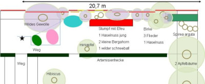 Sichtschutzwildhecke.jpg